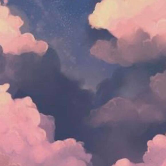 Meet your Posher, Reba - Picture 1 of 1